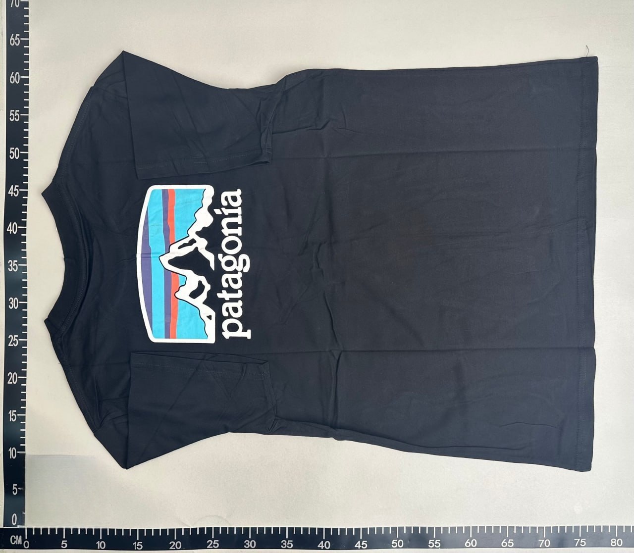 Patagonia P-6 Logo T-Shirt [35 styles]