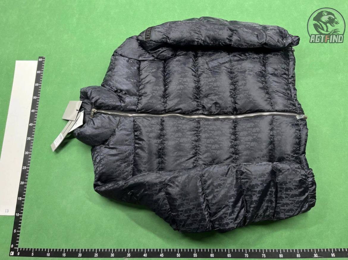 Dior Oblique Puffer Jacket [14 styles]