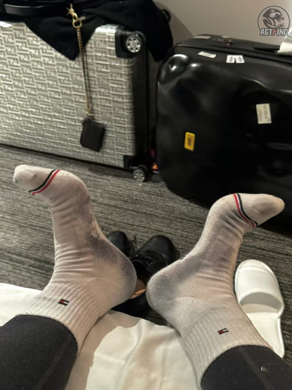 Tommy Hilfiger Classic Ankle Socks [3 styles]