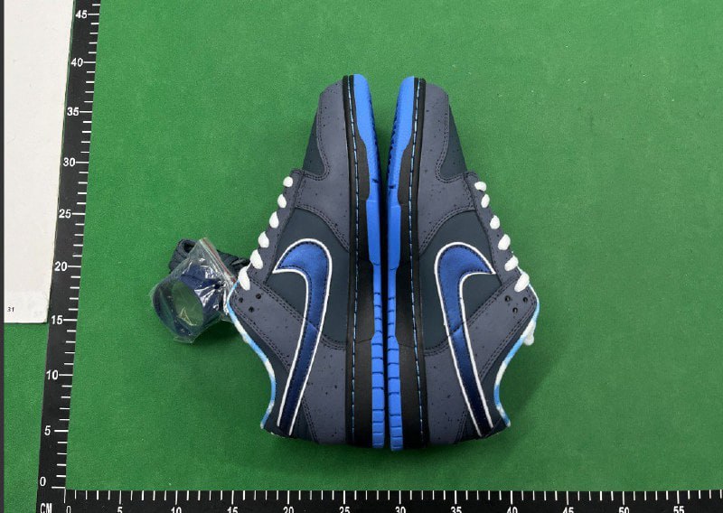 Nike Dunk Low Sneakers [11 styles]