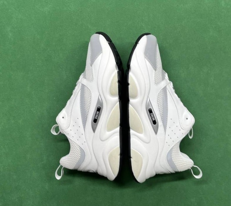 Dior B22 Sneakers [38 styles]