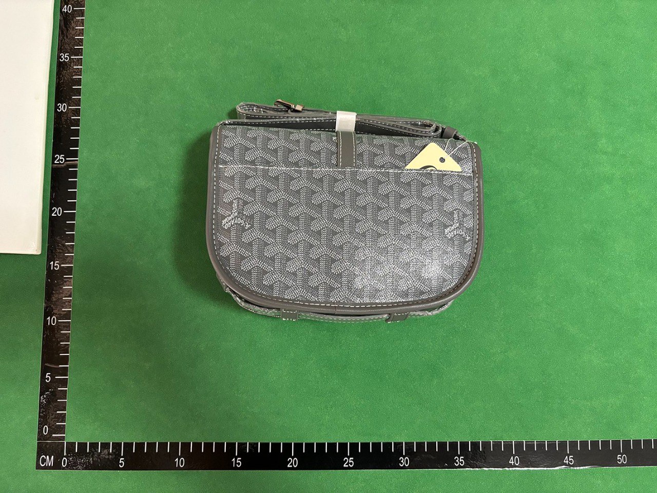 Goyard Saint Louis PM Crossbody Bag [40 styles]