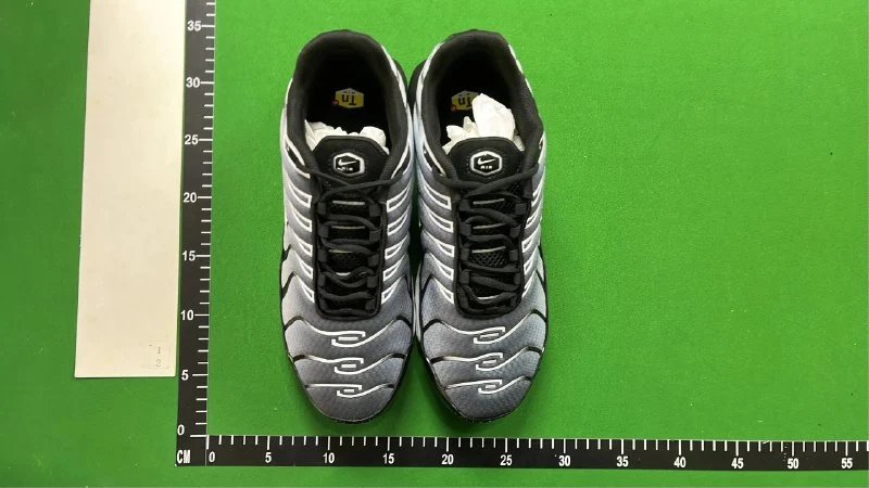 Nike Air Max Plus Sneakers [40 styles]