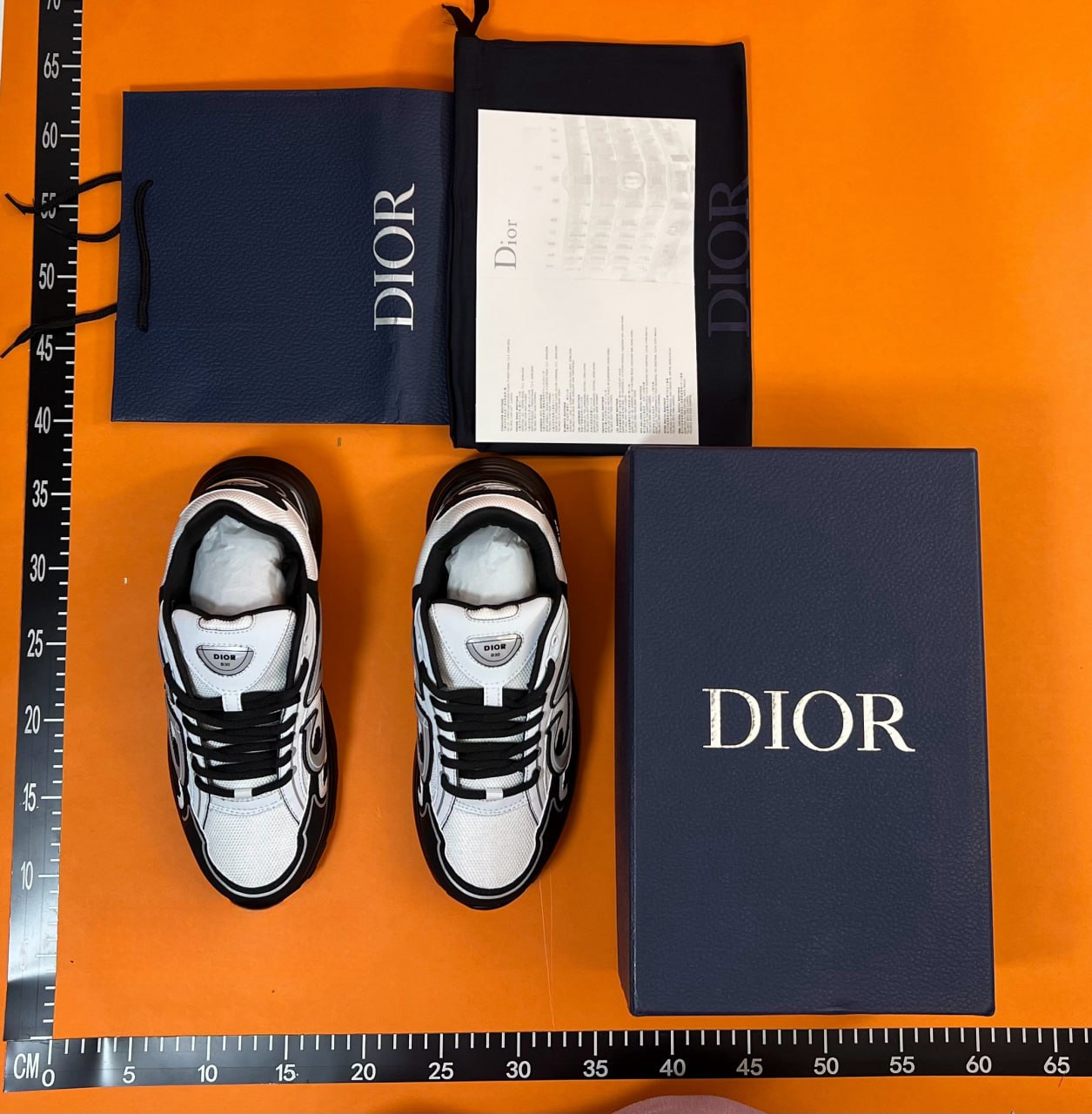 Dior B22 Sneakers [30 styles]