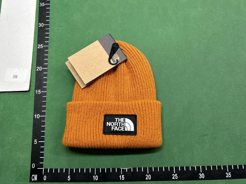 The North Face Beanie [38 styles]