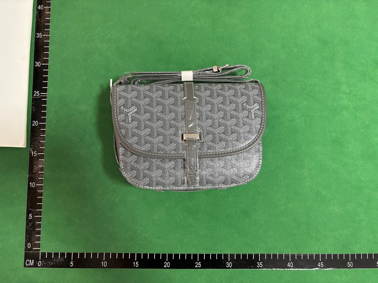 Goyard Saint Louis PM Crossbody Bag [27 styles]