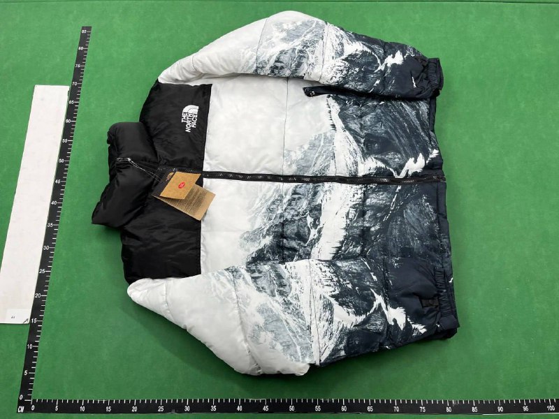 The North Face 1996 Retro Nuptse Jacket [1 style]